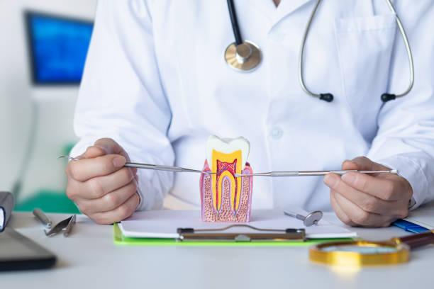 Best Emergency Broken Tooth Repair in Topeka, IN